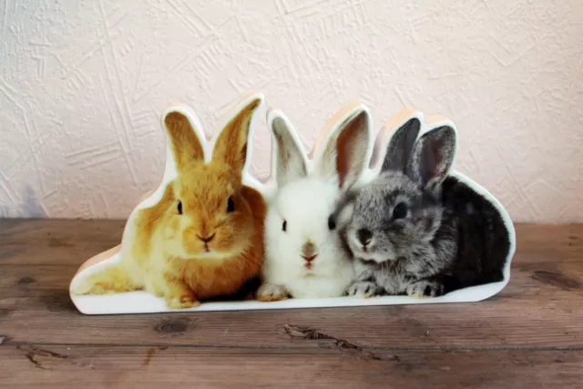 Dekofigur Lepri Trio Stampa Foto Coniglio Decorazione Tavolo Pasqua Animale
