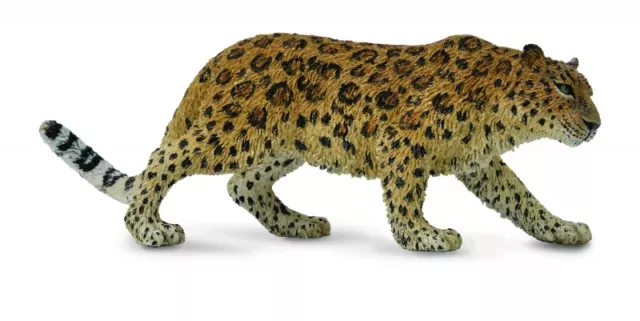 NEW CollectA 88708 Amur Leopard Adult - Wild Life 13.5cm