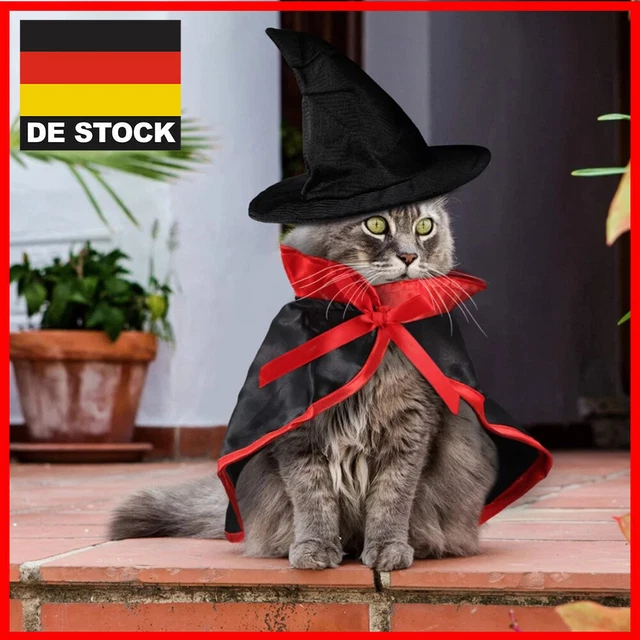 Halloween Haustier Katze Umhang Hexenhut Hexenumhang Kostüm Festivals Hund
