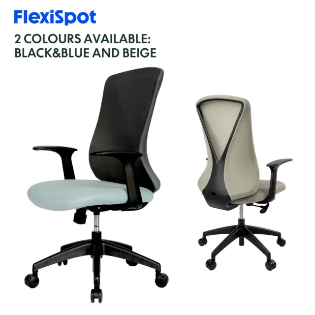 FLEXISPOT Ergonomic Office Chair Adjustable Computer Desk Chair Excutive Mesh