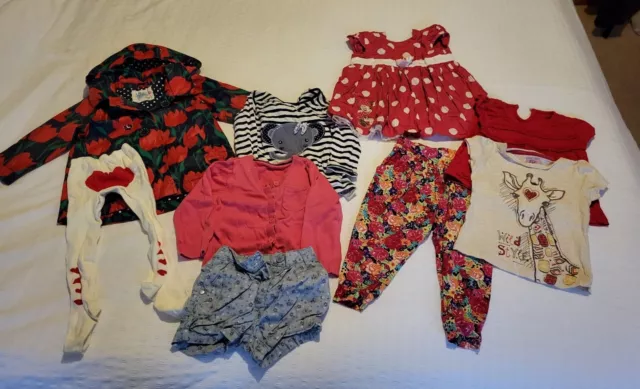 Girls Toddler Clothes Bundle- 12-18 Months