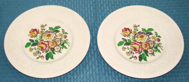 (2) 1910s Booths England Warwick (A8834) on Corinthian 10" Large Dinner Plates