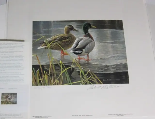 Robert Bateman 1985 First Of Duck Stamp Print Stamp &  Folder-Flat  SHIPPING