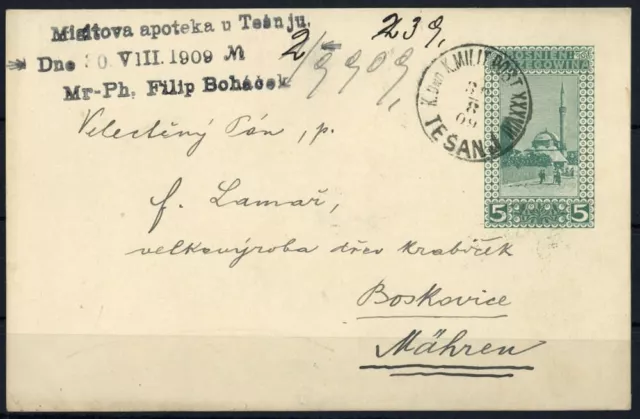 1907, Bosnien und Herzegowina (Österr.), P 17 a, Brief - 1677647