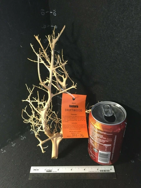 Tantora DRIFTWOOD (Little Moss tree) natural cured shrimp fish safe tank deco 3