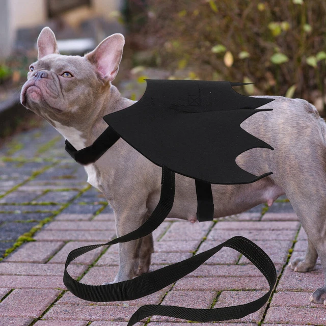 1 Satz von 2 Stück Halloween Fledermaus Design Haustier Halloween-Hundekostüm Ka