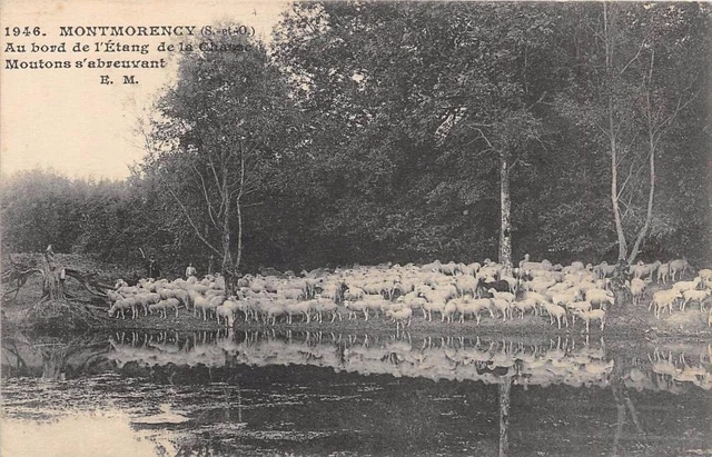 Cpa 95 Montmorency Au Bord De L'etang De La Chasse Moutons D'abreuvant