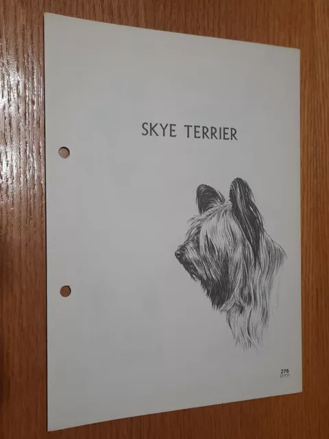 Skye Terrier Breed Supplement RAS Kennel Control Sporting Terriers Group 2