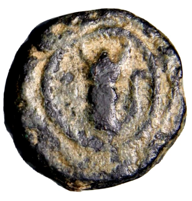 CERTIFIED AUTHENTIC Medieval Islamic Coin Umayyad Ant Scorpion Hims Emesa #8 CERTIFIED AUTHENTIC Medieval Islamic Coin Umayyad Ant Scorpion Hims Emesa #8