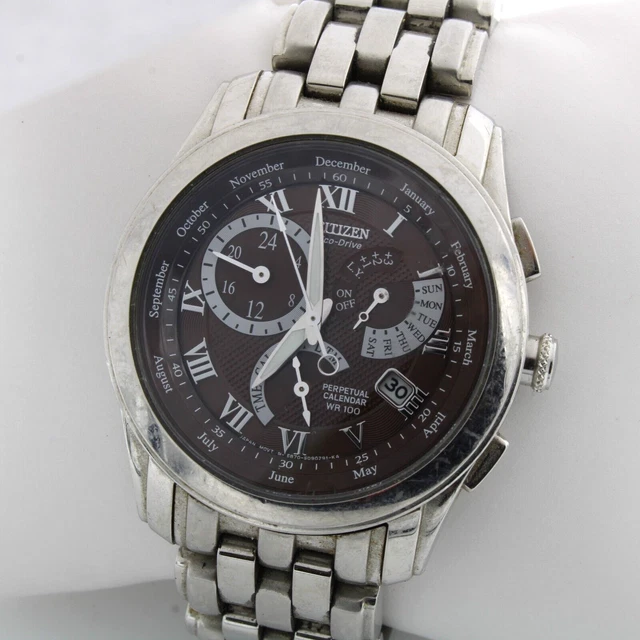 CITIZEN ECODRIVE LIGHT Perpetual Calendar Wr 100 Day/Date Men's Watch