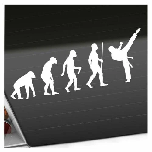KARATE ARTS MARTIAUX Evolution Autocollant 25 Couleurs Fluo Mat EUR 6