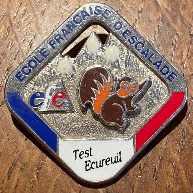 INSIGNE RECOMPENSE ESF ECOLE SKI FRANCAIS Niveau 1er