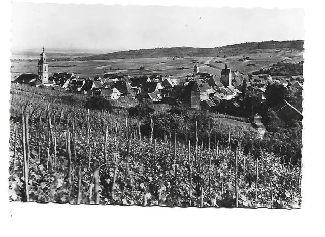 68  Riquewihr  Vue Generale