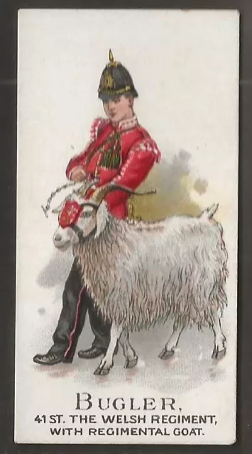 Gallaher-Types Of British Army 1897 (Battle Honours)-#49- Quality Card!!
