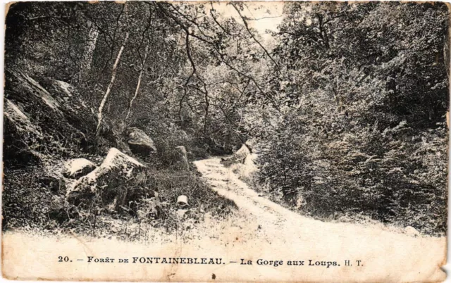 CPA Foret de FONTAINEBLEAU - La Gorge aux Loupe (249033)