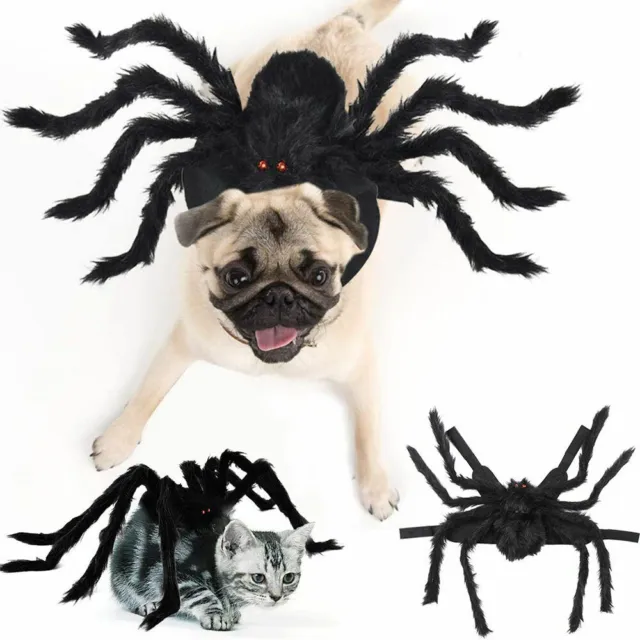 Plüsch Spinnenkostüm Welpen Katzen Hunde Haustier Cosplay Kleidung Halloween S-L