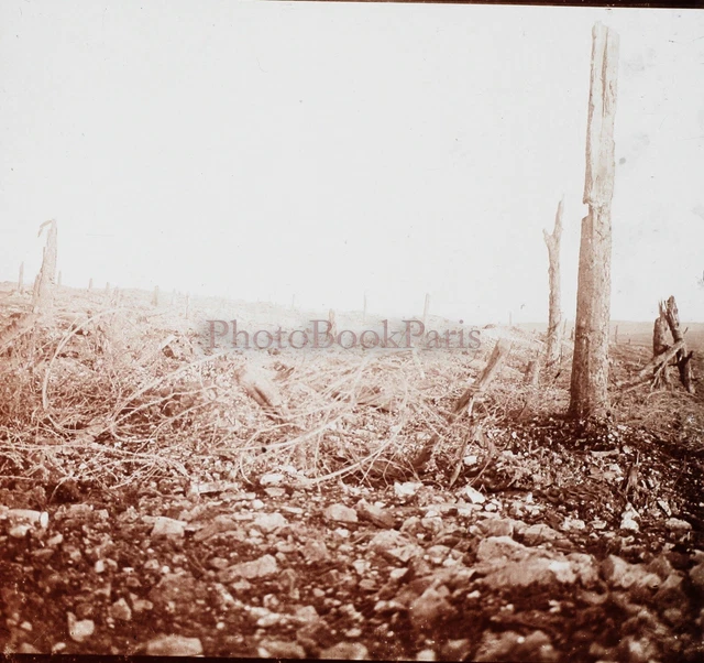 PREMIÈRE GUERRE MONDIALE 1914-18 Alerte au Gaz PHOTO Plaque verre Stereo Vintage EUR 59,00