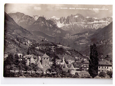 BZ 7004 Dobbiaco Cartolina Trentino Alto Adige 
