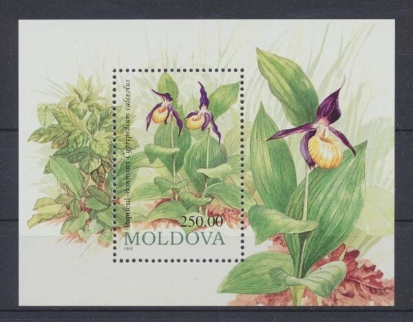 Moldawien, MiNr. Block 4, postfrisch / MNH - 64165