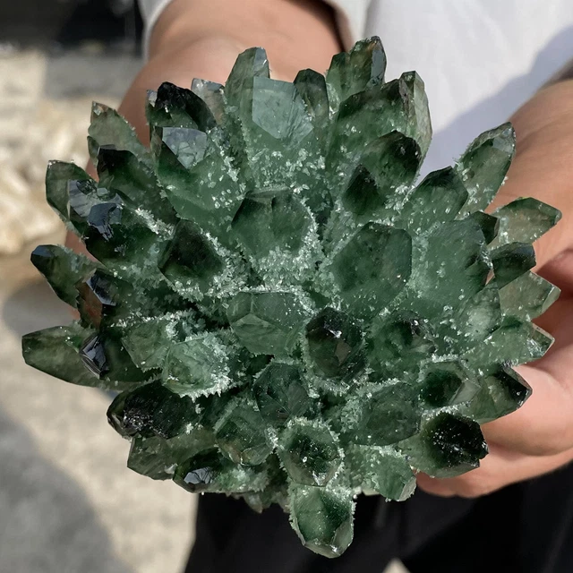 1.30LB New Find Green Phantom Quartz Crystal Cluster Mineral Specimen Healing 8