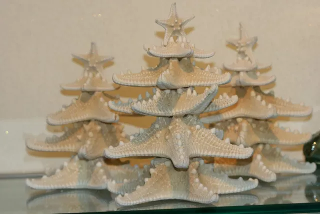 Unique knobby Natural starfish home décor Christmas tree nautical and beach