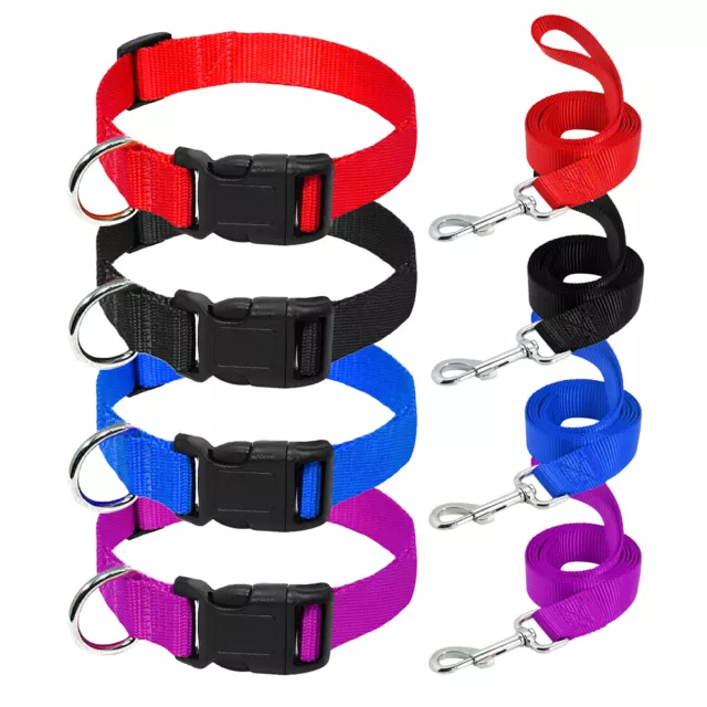 Collier et laisse Nylon pour Chien Chat Chiot Réglable S M L XL Noir Bleu Rouge