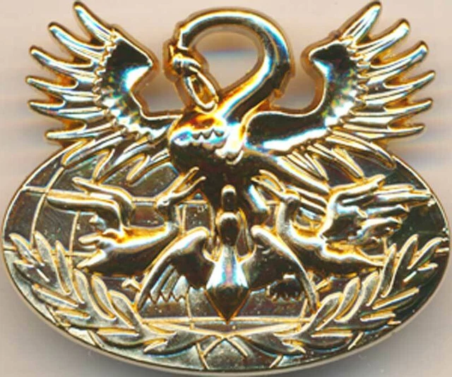 Insigne De Plongeur Démineur – Dos Grenu Doré – Avec Attache Pin's Beraudy