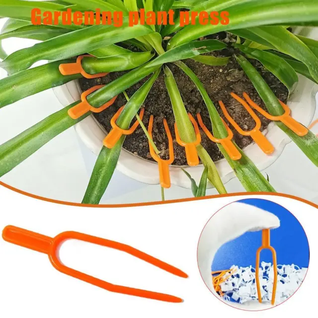 Garden Plant Fixing Fork Climbing Support Clips Strawberry Lot Q9 G6V8