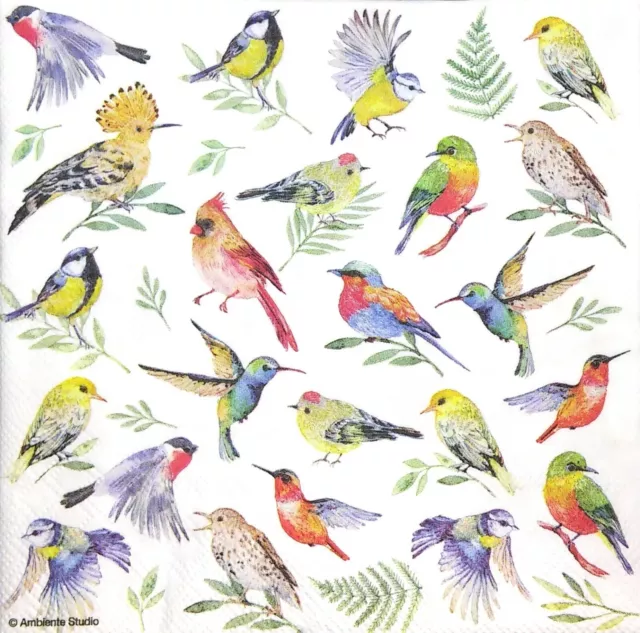 M717# 3x Single Paper Napkins For Decoupage Craft Tissue Small Mini Bird Pattern