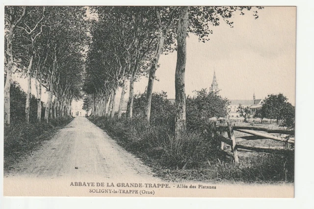 SOLIGNY LA TRAPPE - Orne - CPA 61 - Allée des Platanes