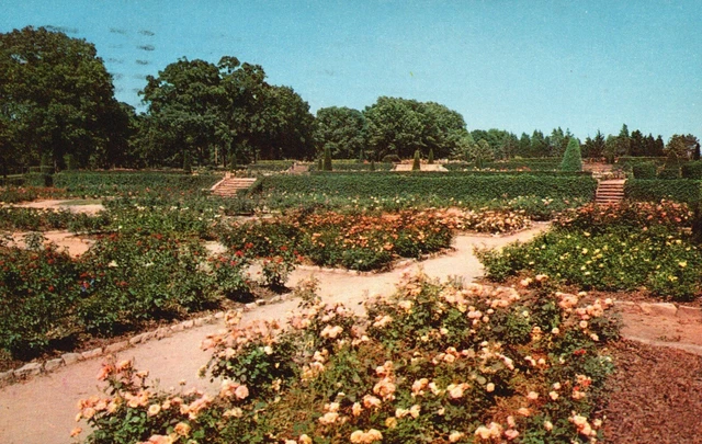Tulsa, OK, Tulsa Municipal Rose Garden, Woodward Park, 1963 Postcard e5424