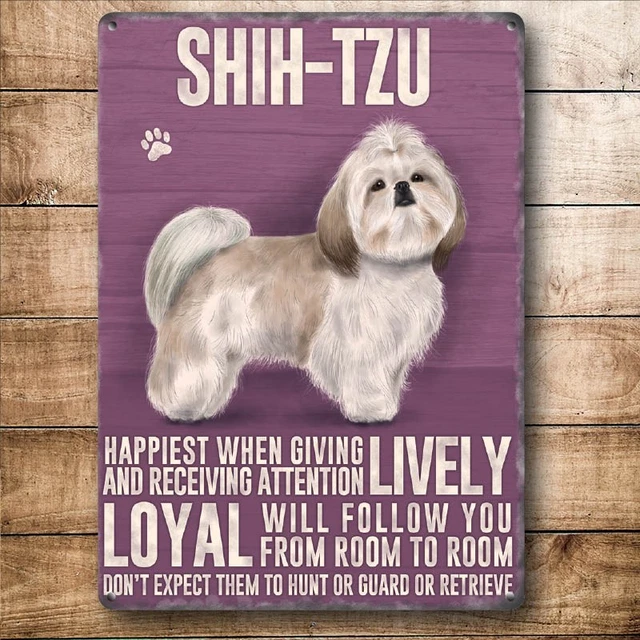 SHIH TZU DOG 12"X 8" MEDIUM METAL WALL SIGN 30x20cm WITH CHARACTER DESCRIPTION