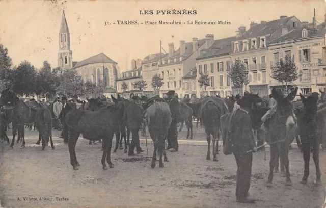 Cpa 65 Tarbes / Place Marcadieu / La Foire Aux Mules