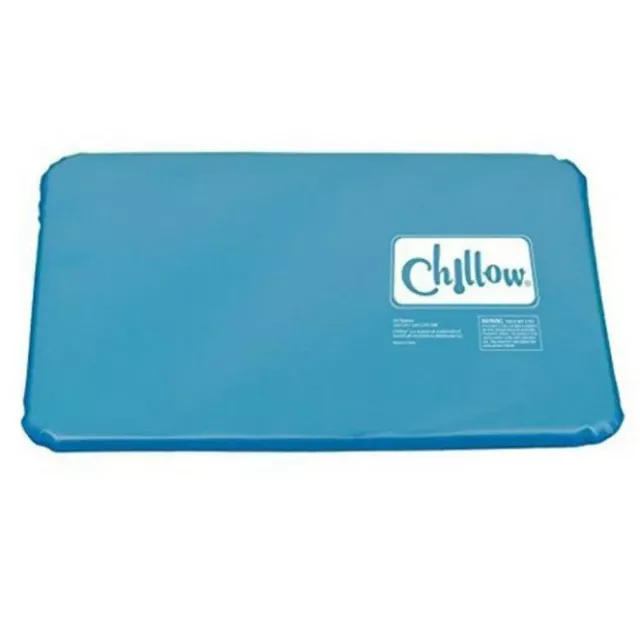 Pillow Cold Therapy Cooling Insert Chillow Sleeping Mat Muscle Relief Aid Pad