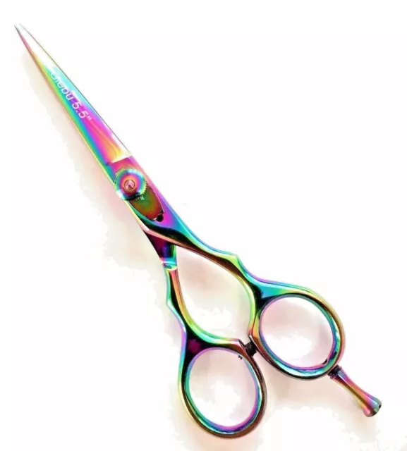 Professional Siebu Hairdressing Scissors Shears Titanium Hair Salon Barber BB04