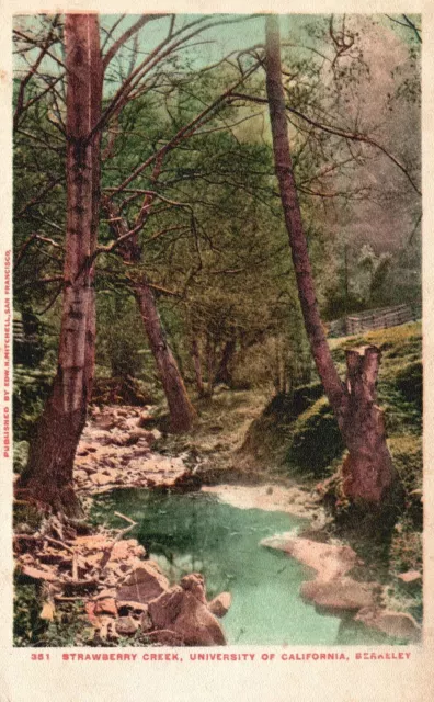 Vintage Postcard 1930's Strawberry Green University Of California Berkeley Calif