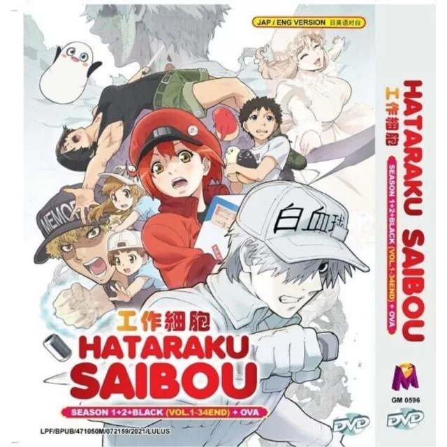 English dubbed of Hataraku Maou-sama!! Season 1+2(1-37End) Anime DVD Region  0