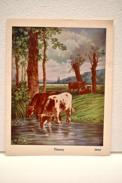 Vintage Lithographie Imprimé Représentant Soif Vache Buvant Eau De River Collect