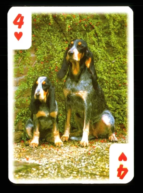 1 x Spielkarte schöne Hunde Serie - siehe Foto - 4 of Hearts S36