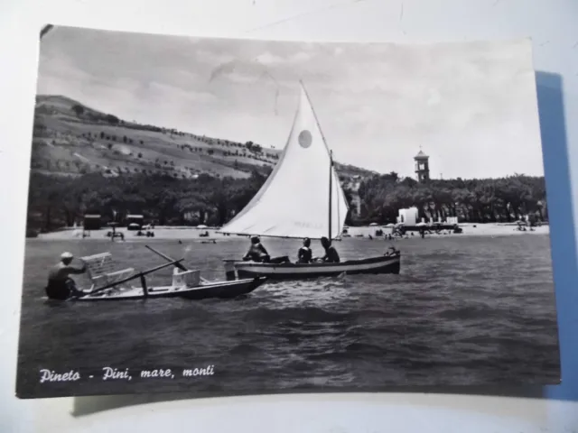 Cartolina Viaggiata "PINETO Pini, mare, monti"  1957