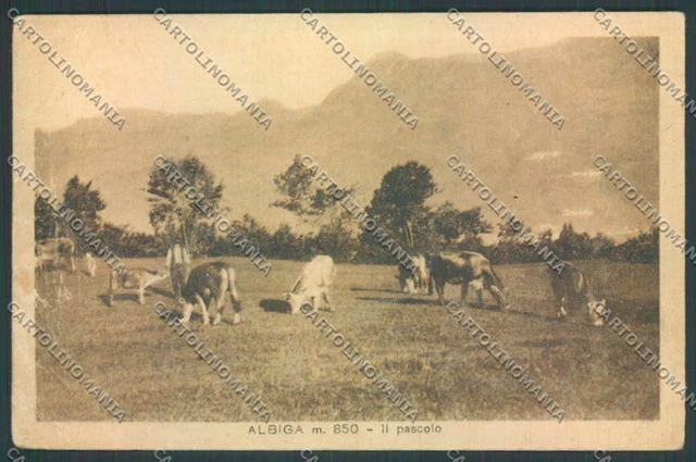 Lecco Albiga PIEGHINE cartolina LQ4761