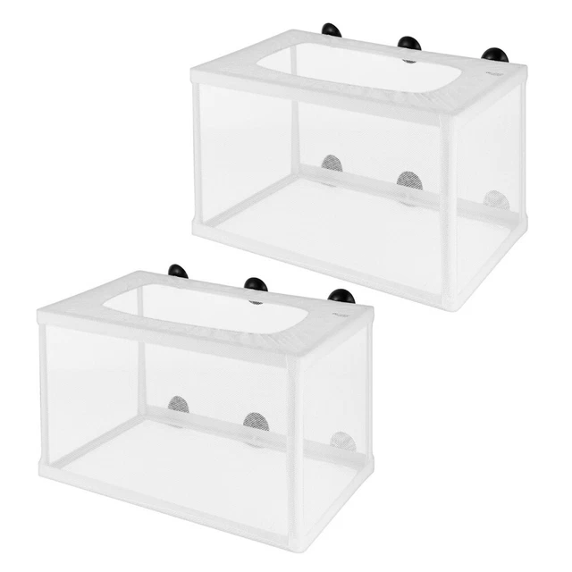 Scatola Rete Per Allevamento Pesci - Isolamento Sicuro Per Avannotti In Acquario - Foto 11