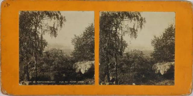 FRANCE Paris Château de Fontainebleau Mont Ussy, Photo Stereo Vintage Argentique