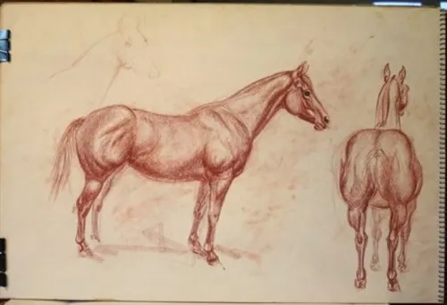 #1 Maureen Love Original Sketches Horse plus a rear view and Horse facing right