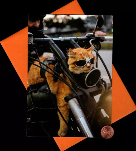 HTF  BIRTHDAY Cat Orange Sunglasses Motorcycle - Greeting Card W/ Tracking