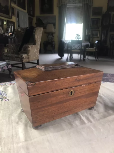 Regency Era C1810 Sarcophagus Tea Caddy Double Box