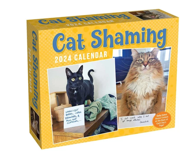 CAT SHAMING 2024 Daily Desk Calendar Brand New 879938 17.95