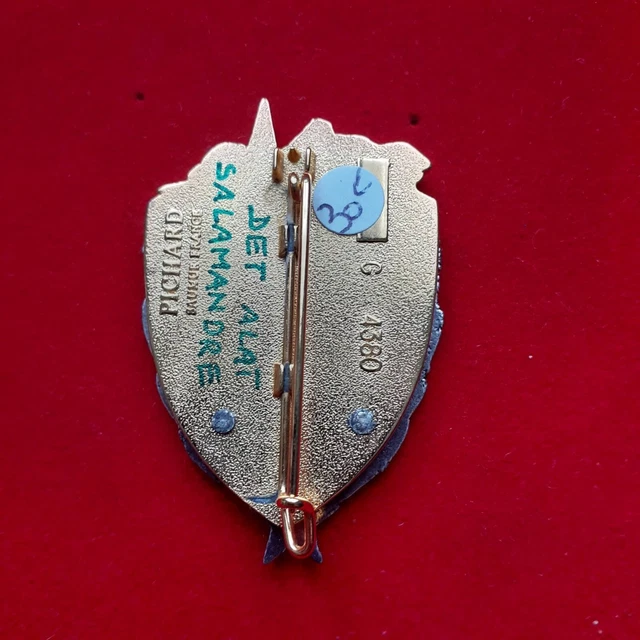 ORIGINAL INSIGNE MILITAIRE ESCADRON DE TRANSPORT DIVISION SALAMANDRE IFOR TBE