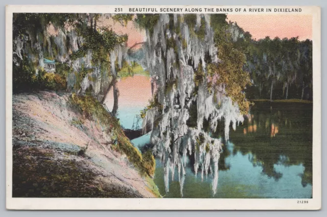 State View~Dixieland~River Bank Scenery~Spanish Moss~Vintage Postcard