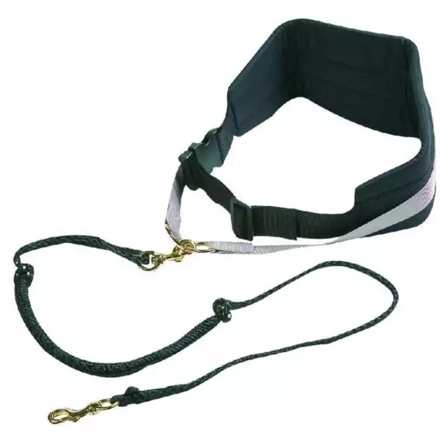 FLAMINGO Ceinture pour chien avec laisse élastique Canicross Noir